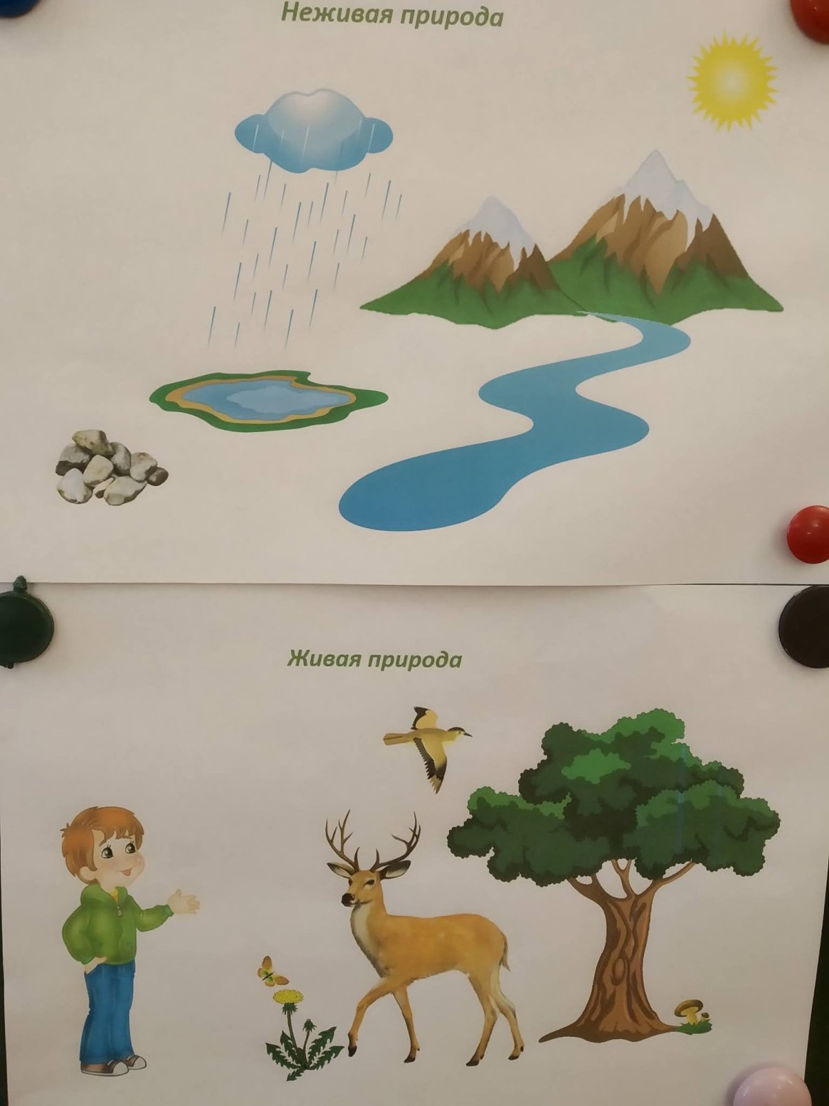 Дидактические игры неживая природа