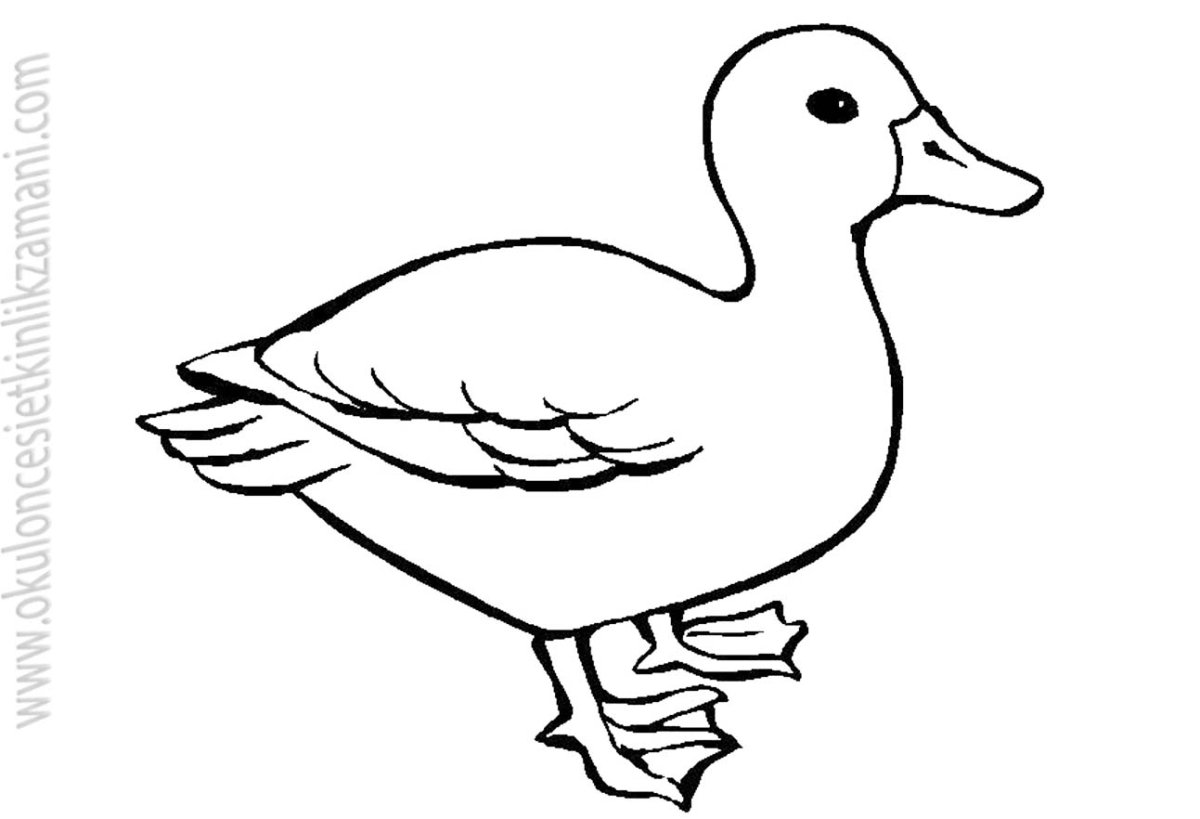 Раскраска уточка