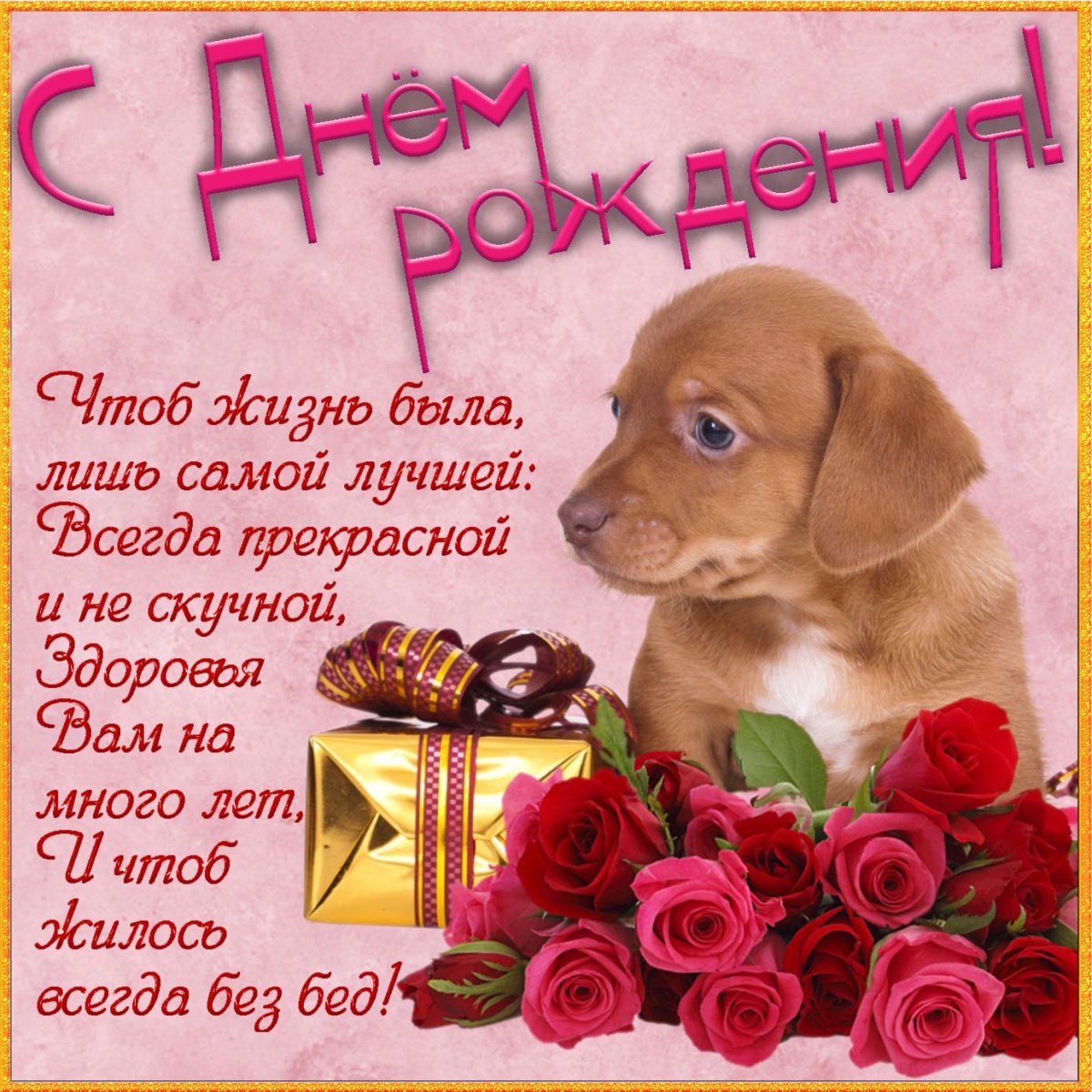 Стихи про имена