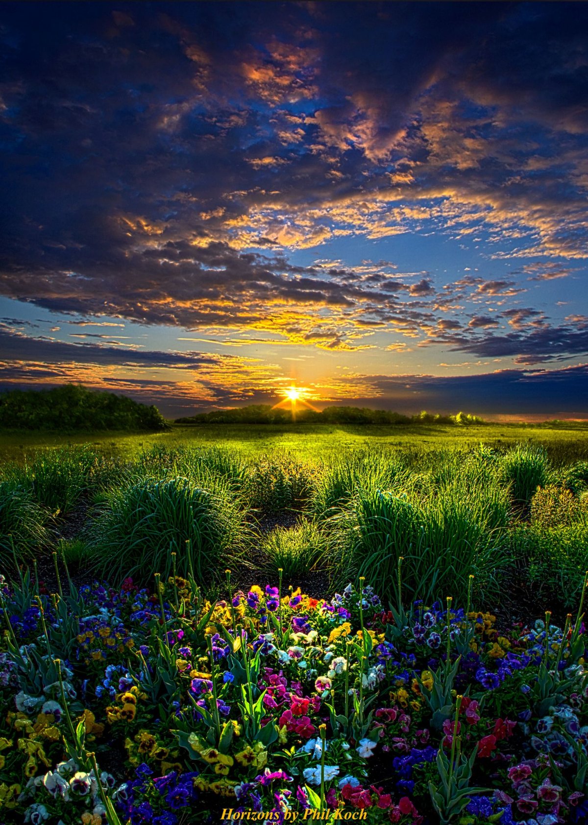 Яркая природа