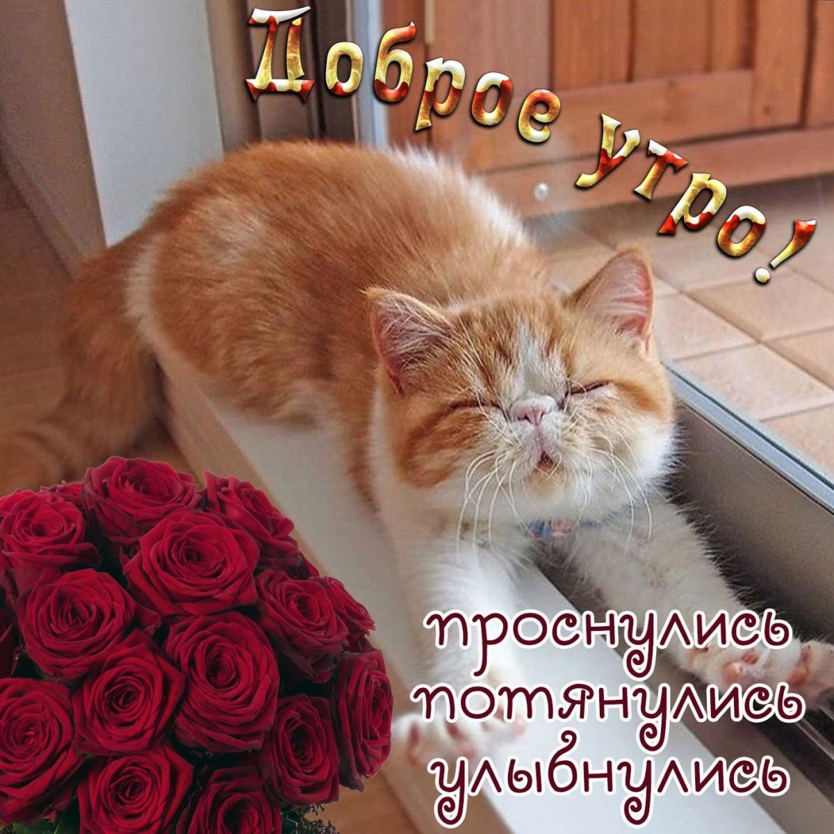 Открытки с добрым утром