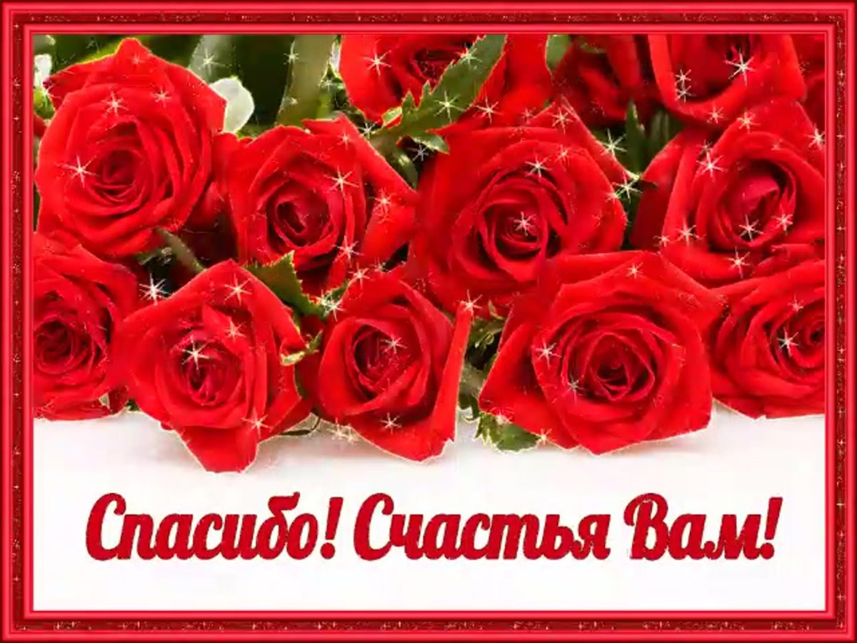 Спасибо за поздравления друзья