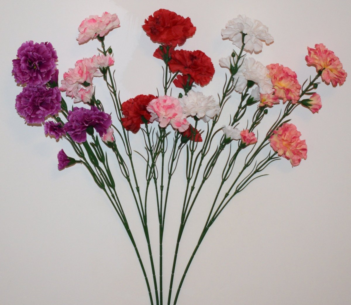 Гвоздика Диантус