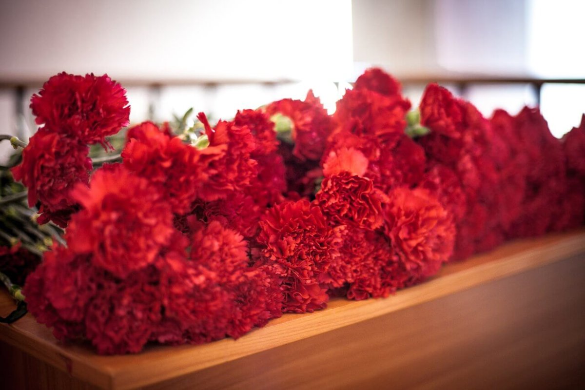 Диантус красный