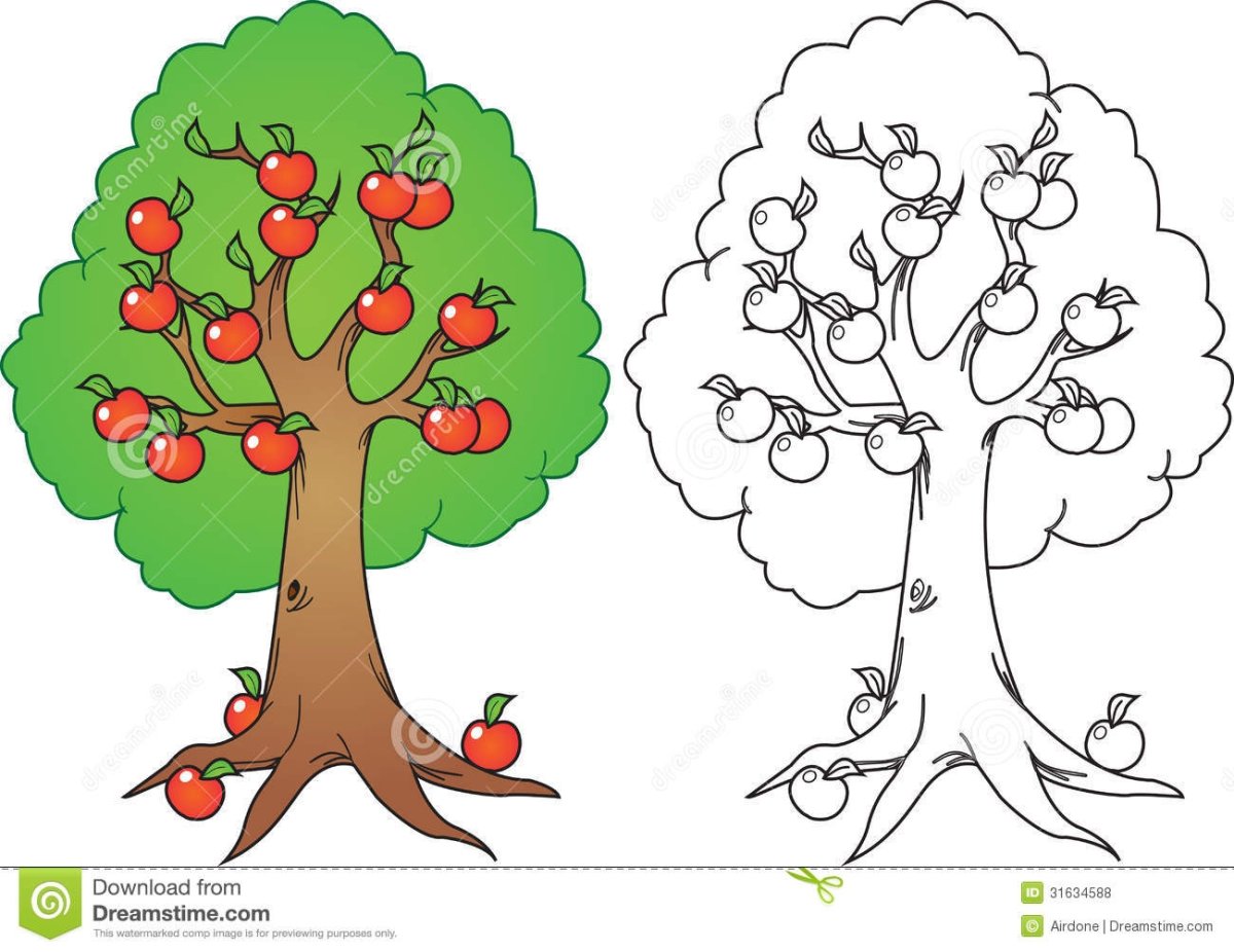 Яблоки на дереве