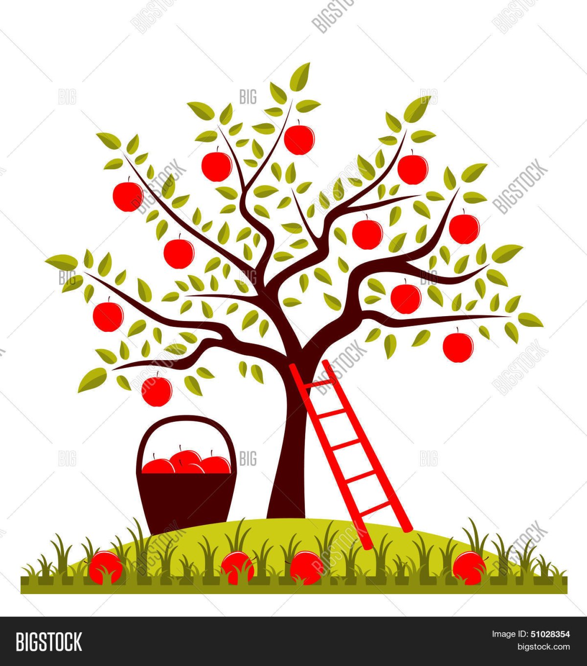 Дерево яблоня на прозрачном фоне