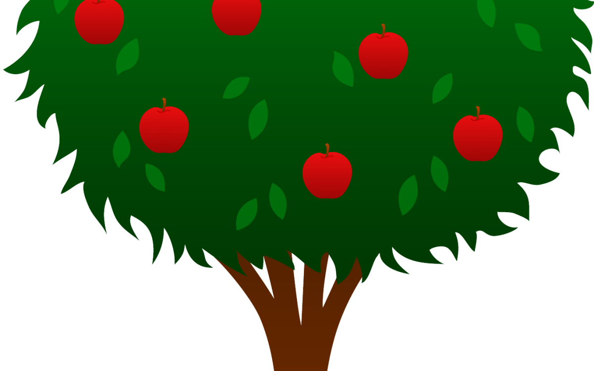Яблоки на дереве