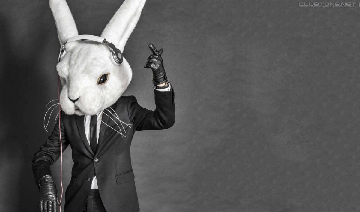 Крутой кролик