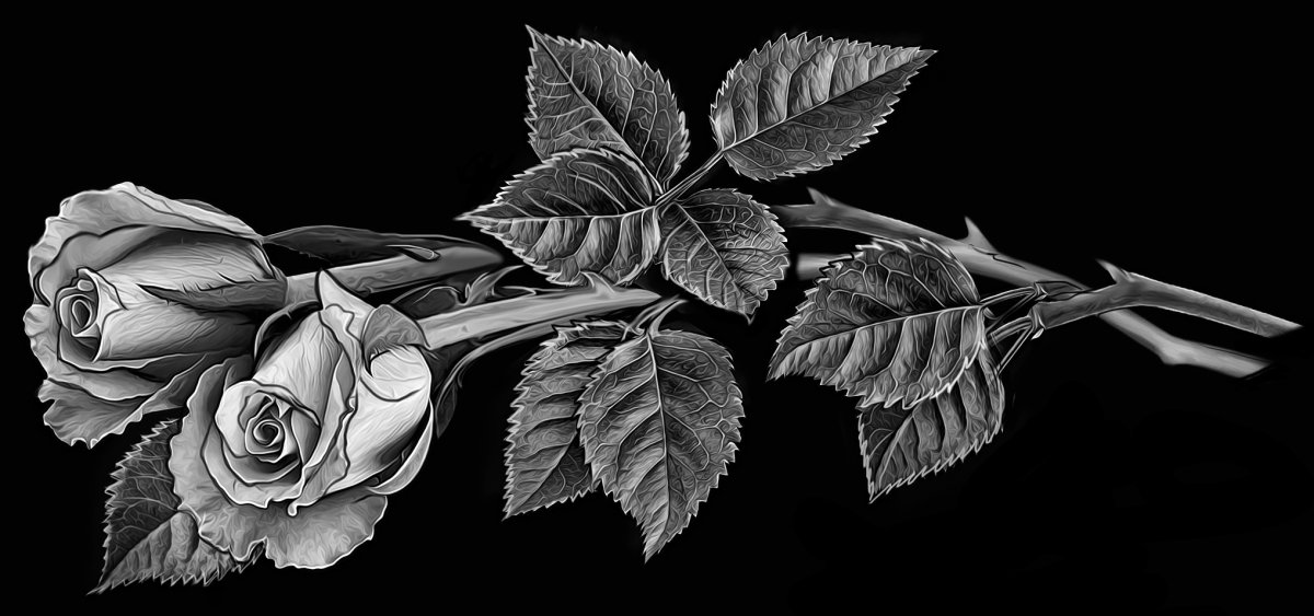 Розы для гравировки