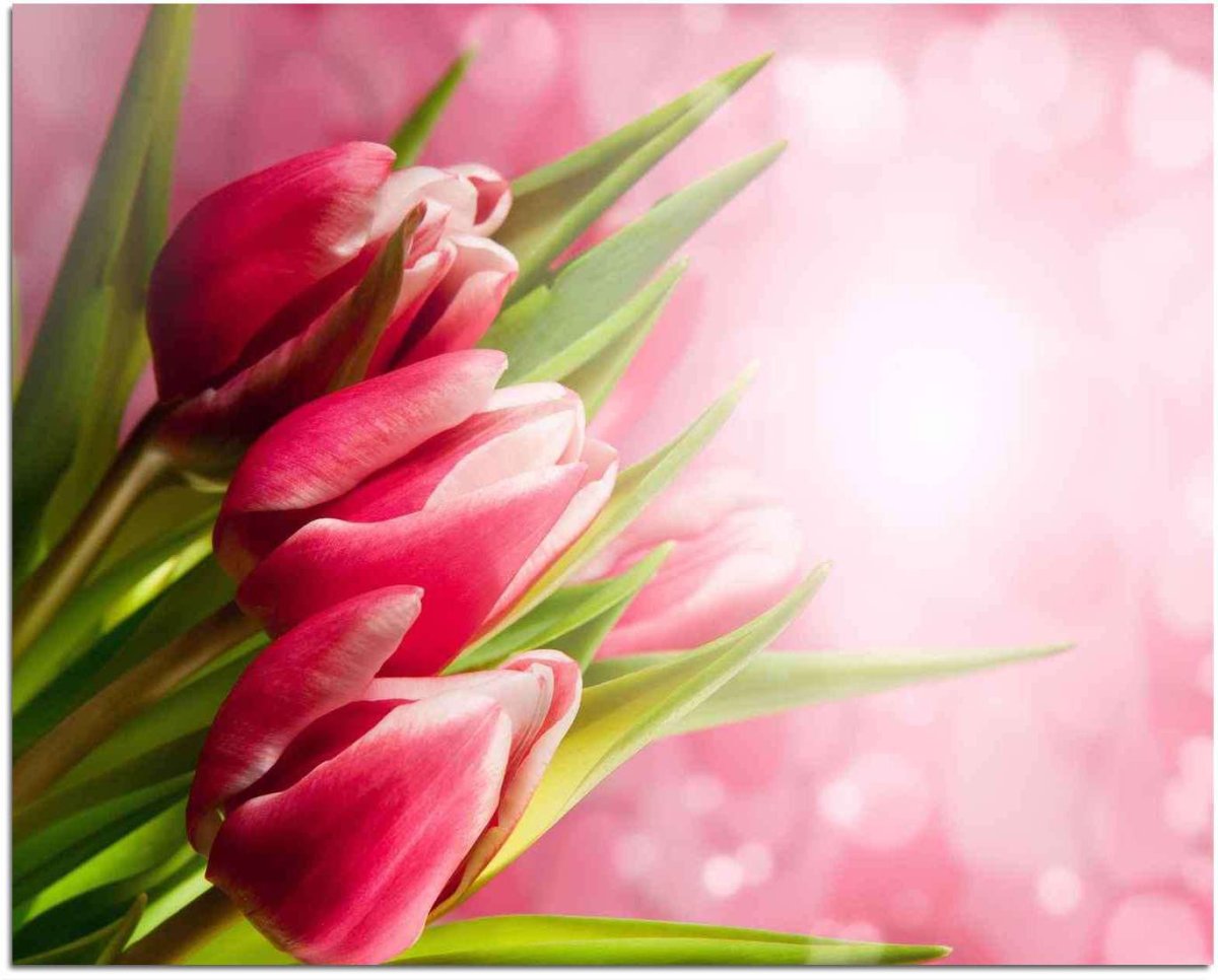 Поздравления с днём рождения девушке саше