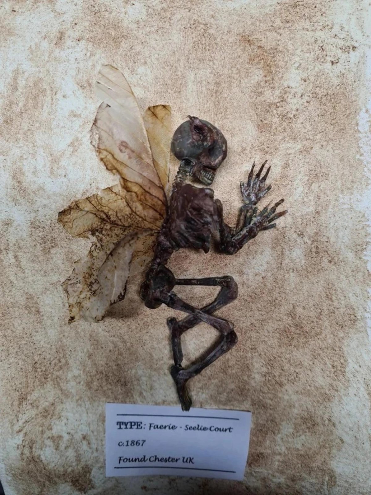 Настоящие зубные феи