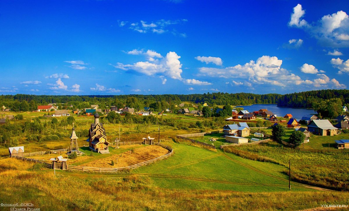 Березовый рядок Селигер