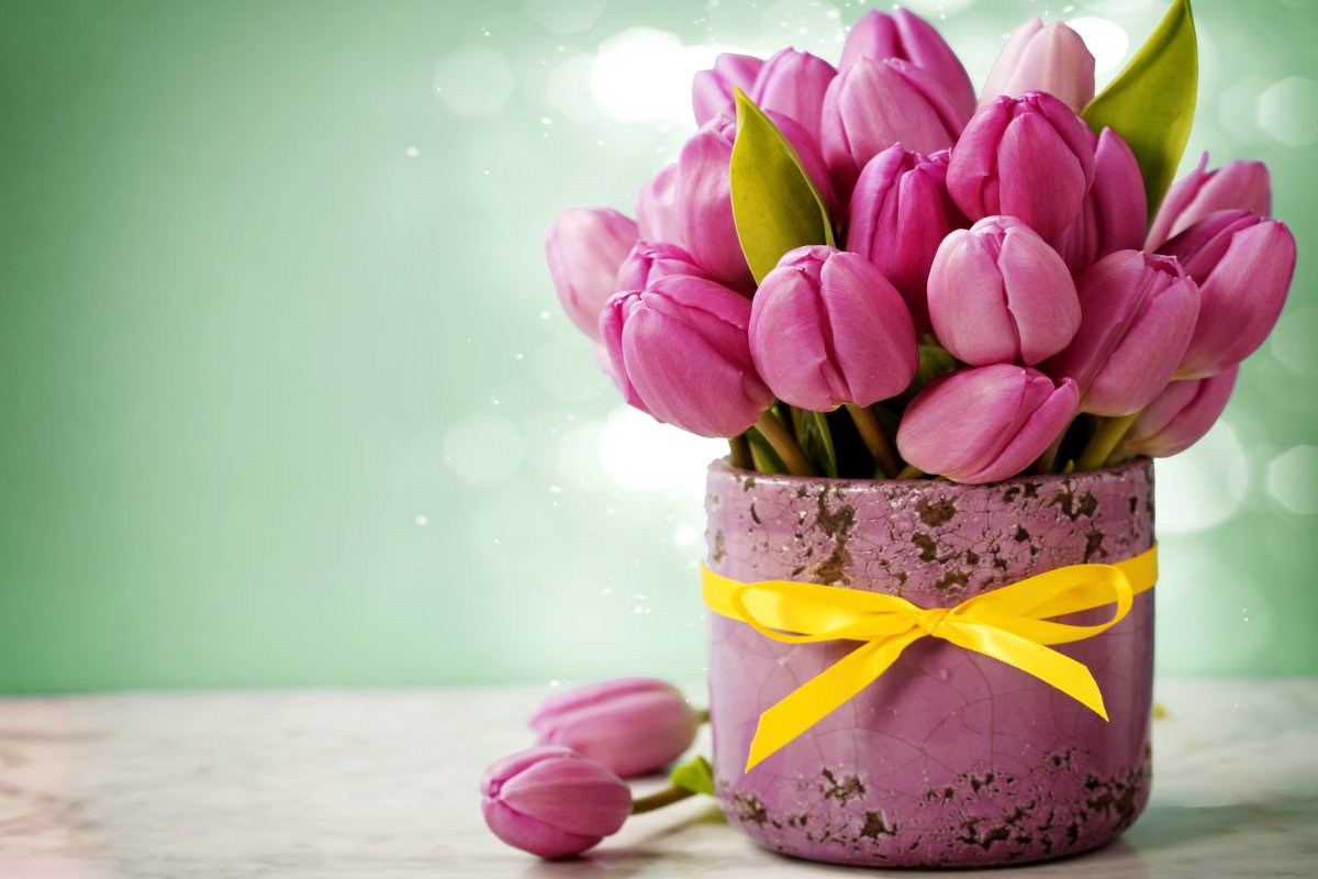 С 8 марта белые тюльпаны