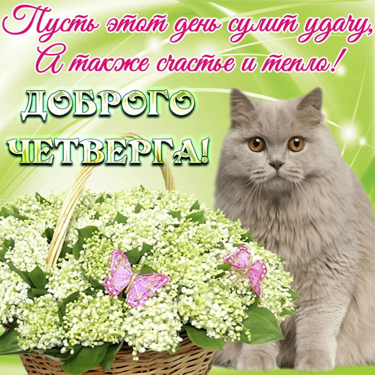 Доброе утро удачного четверга