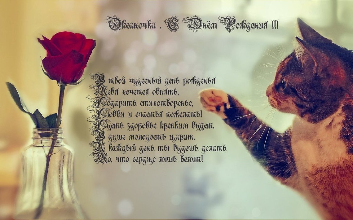 Оксаночка с днём рождения поздравления