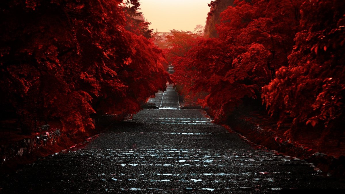 Красная осень