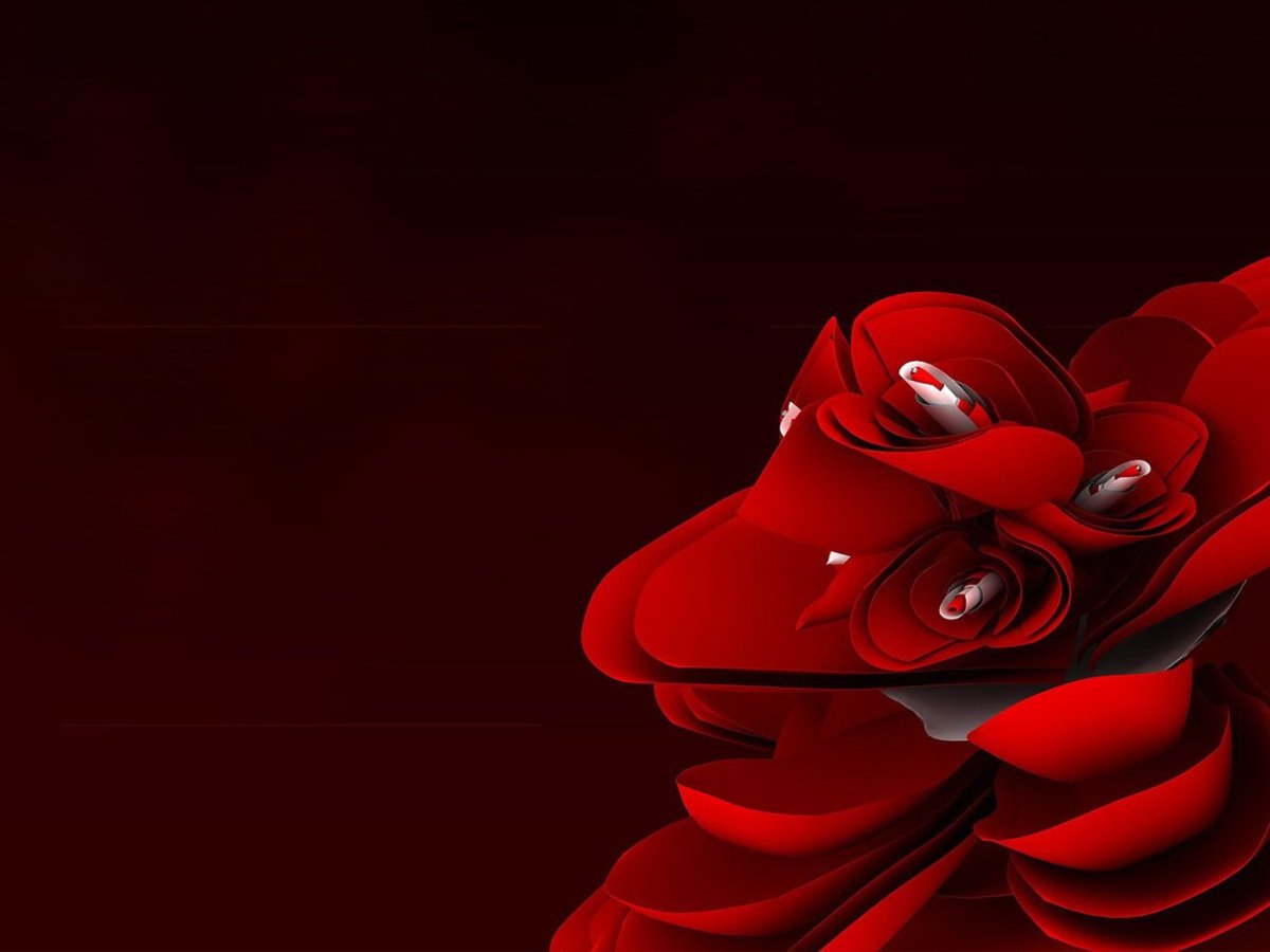 Черно красные обои