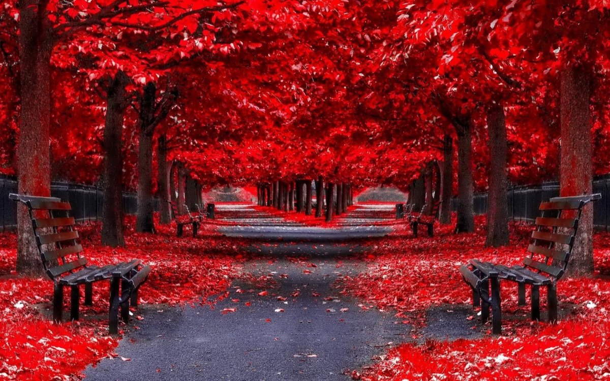 Красный пейзаж