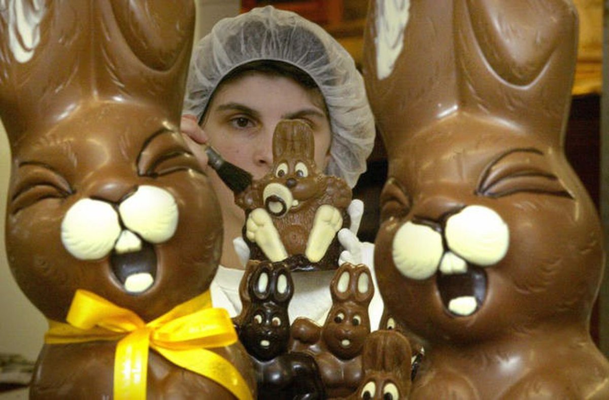 Шоколадный заяц