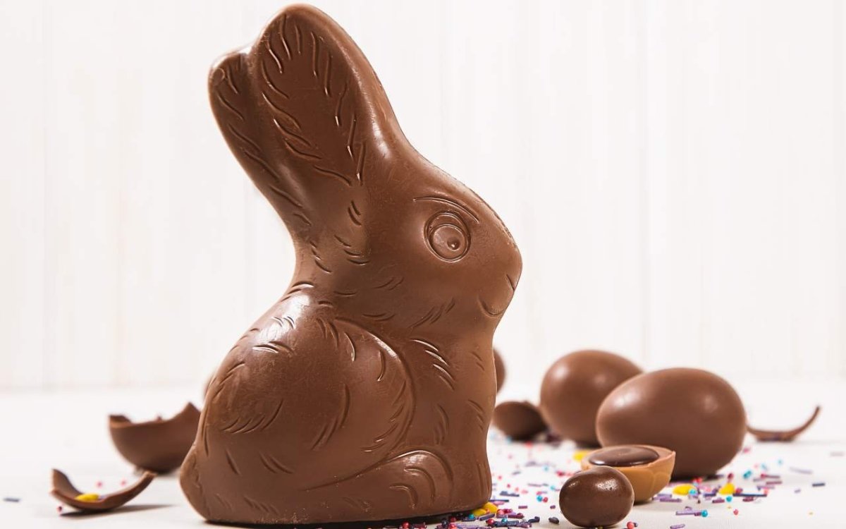 Шоколадный заяц без головы