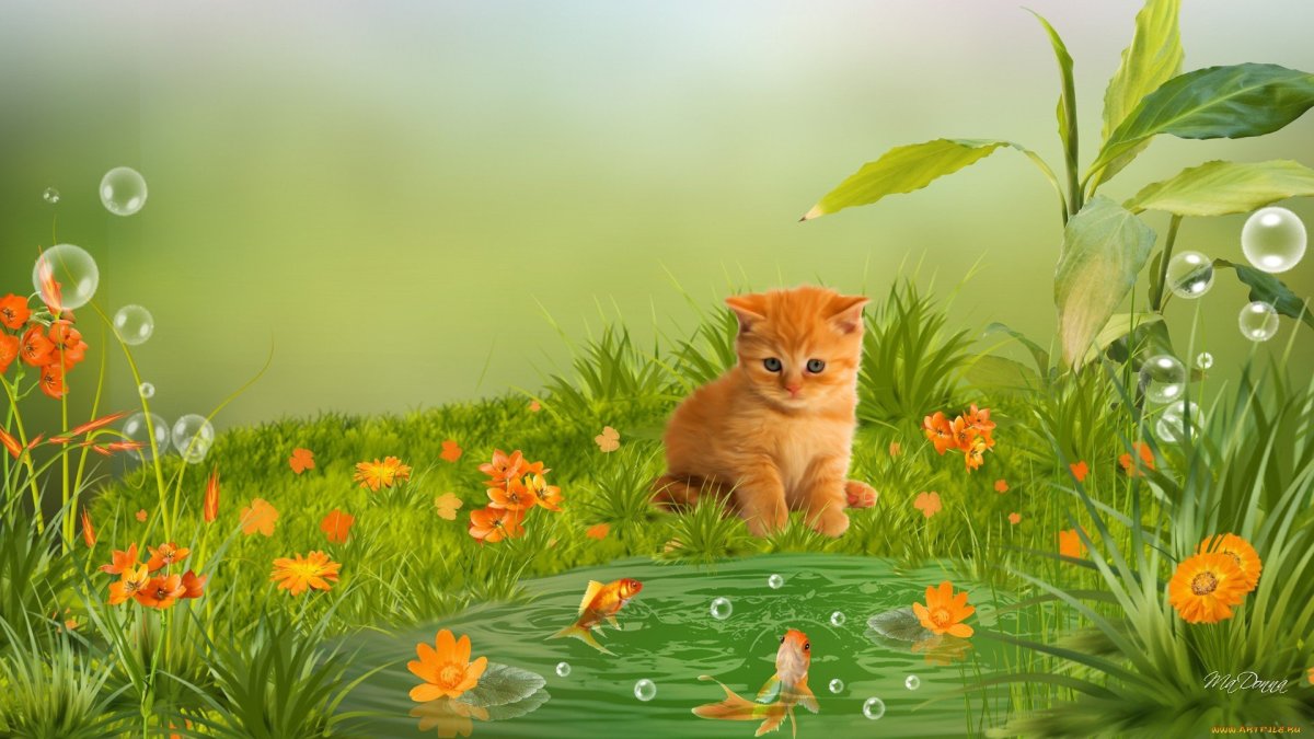 Фон с котятами