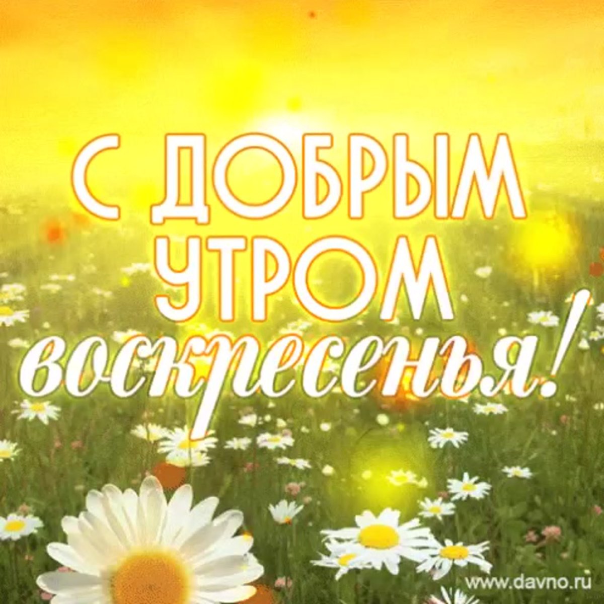Открытки с добрым утром воскресенья