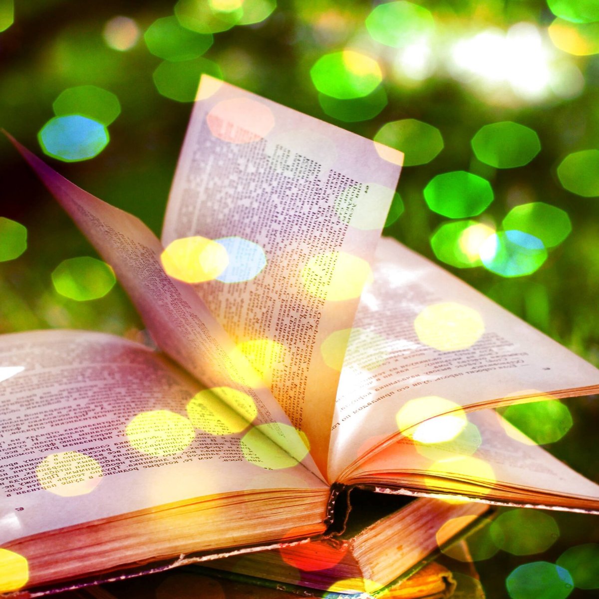 Книжное волшебство