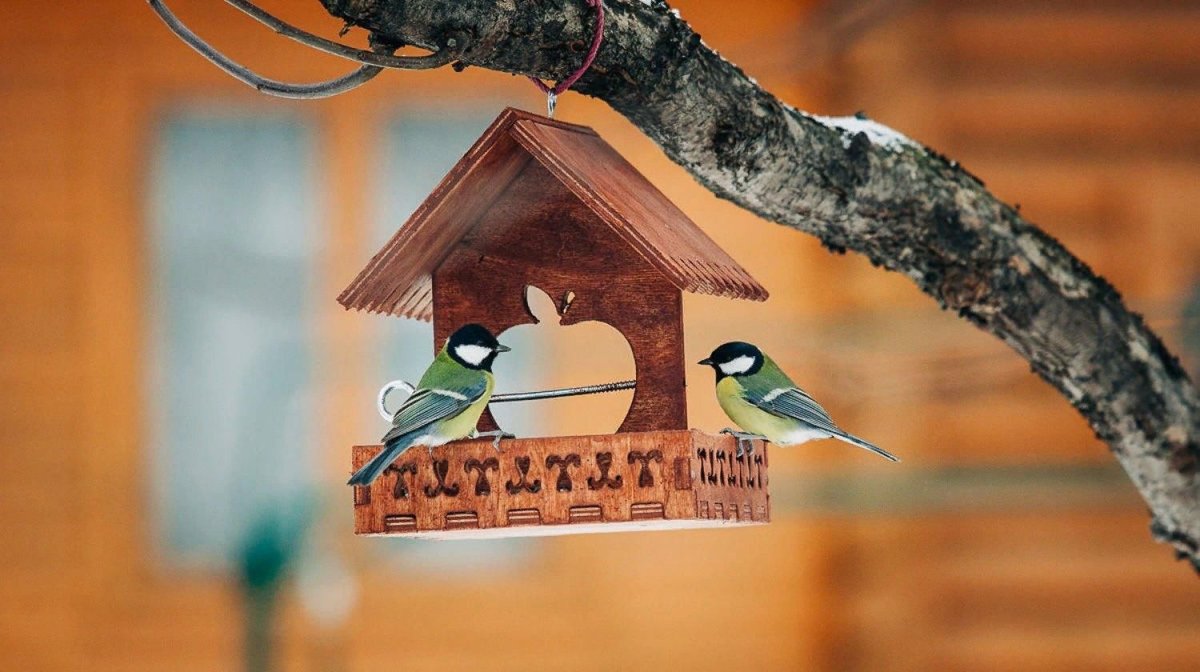 Экологическая кормушка для птиц