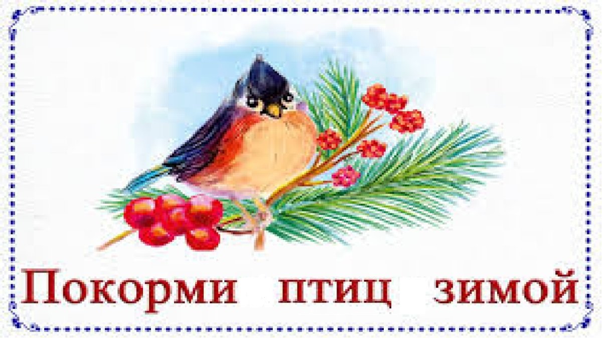 Покормите птиц зимой