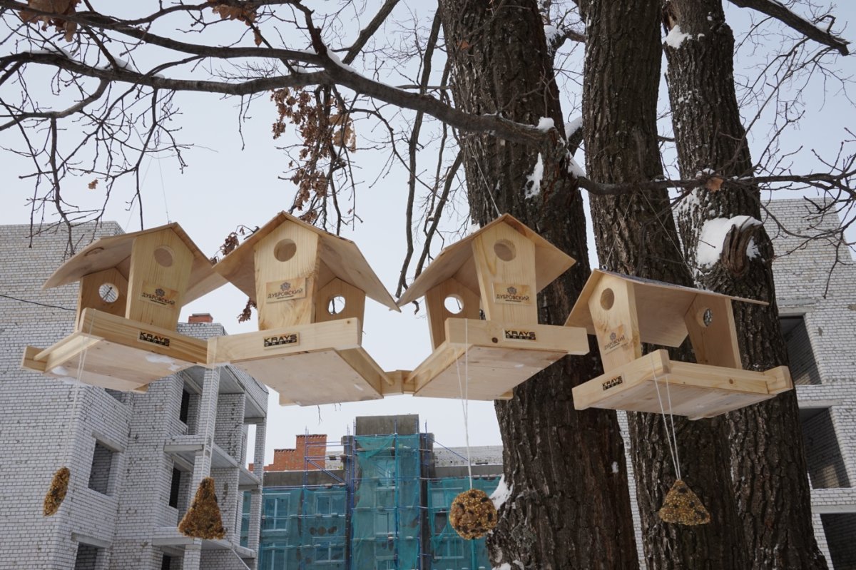 Скворечник-бельчатник "Сойка"