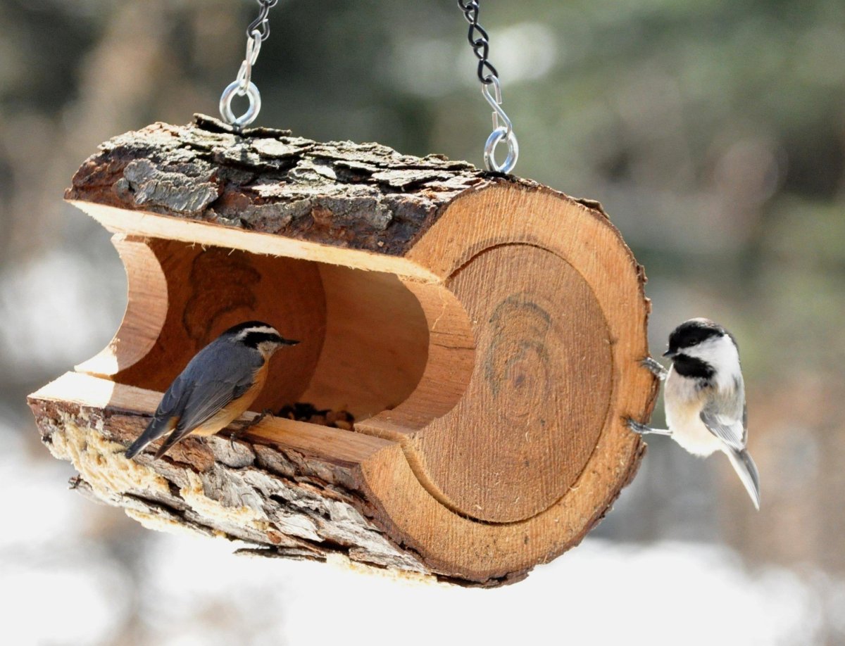 Синичкин скворечник
