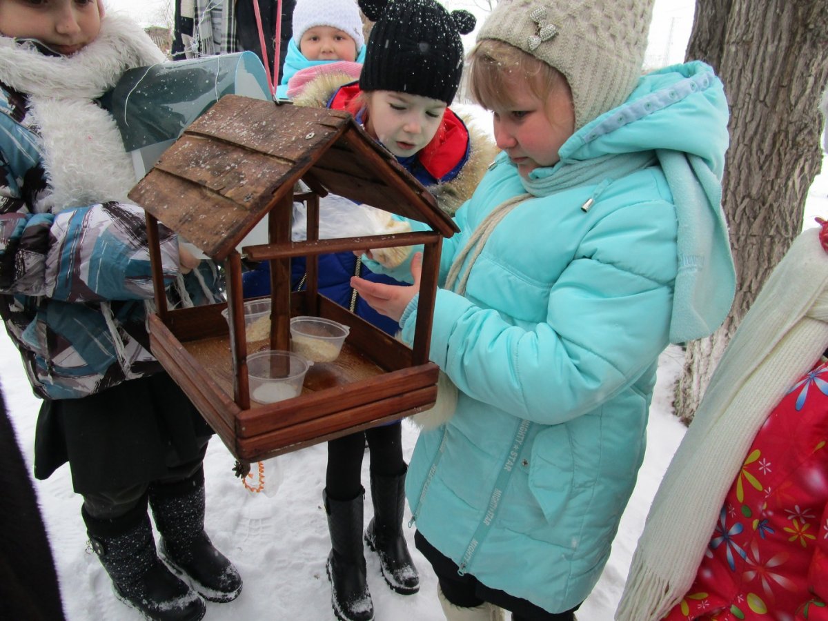 Птичья столовая