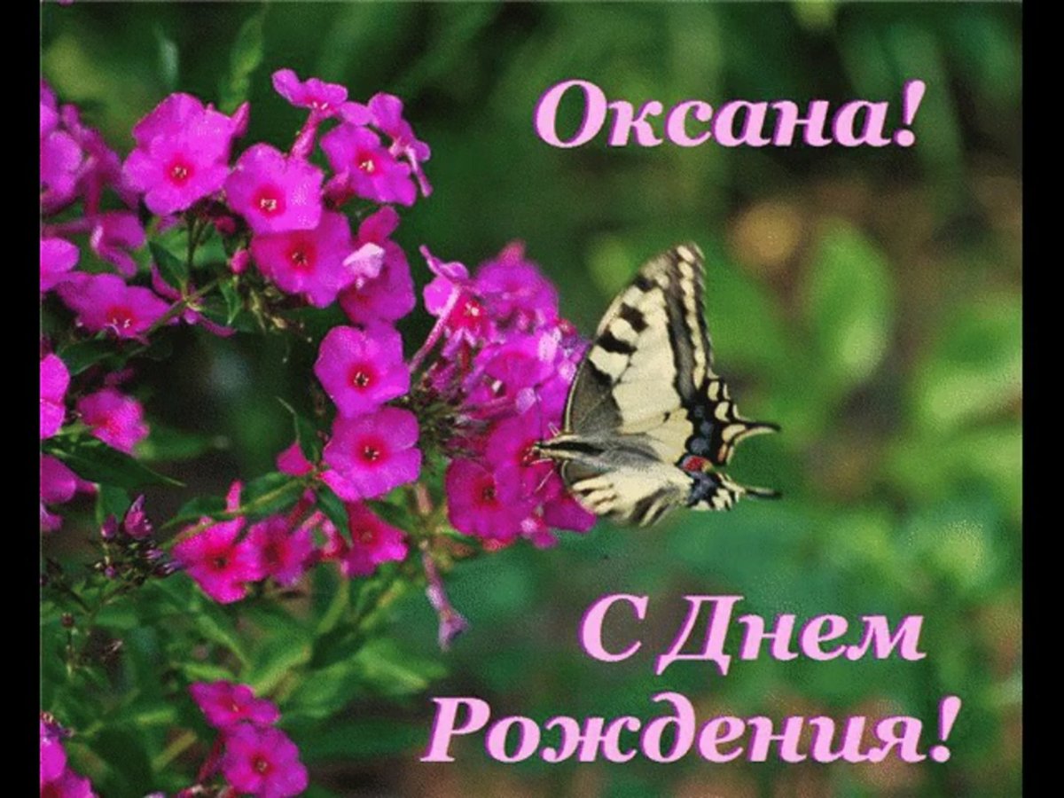 Поздравления с днём рождения Оксане
