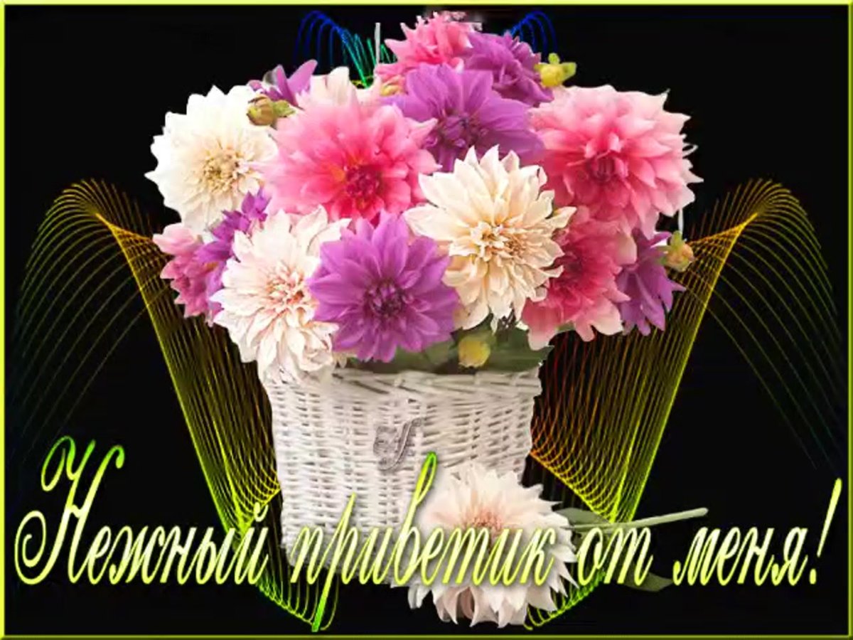 Открытки Вечерний приветик