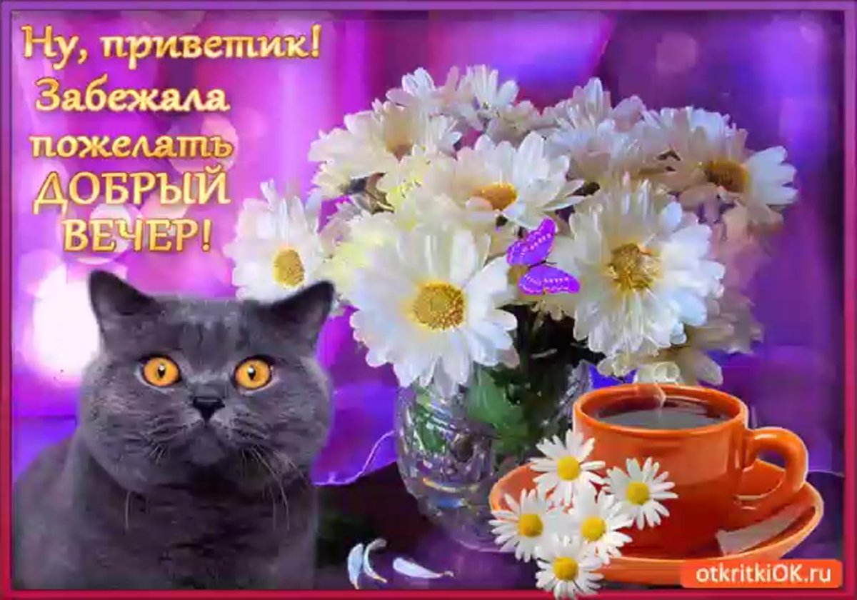 Вечерний привет любимому мужчине