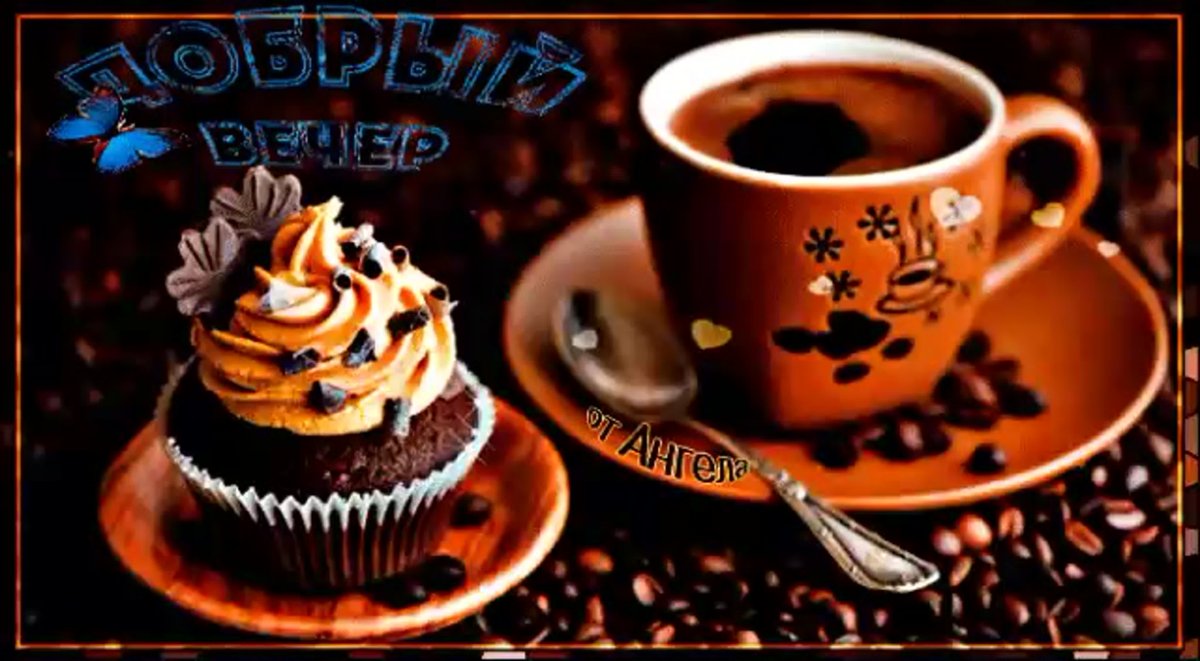 Хорошего вечера и настроения с животными