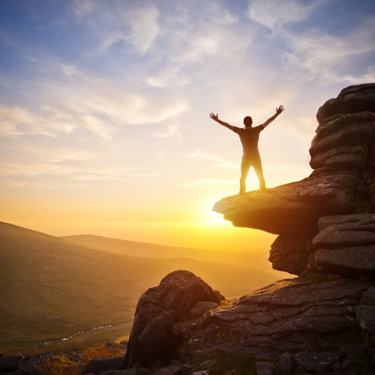 Стремление к жизни