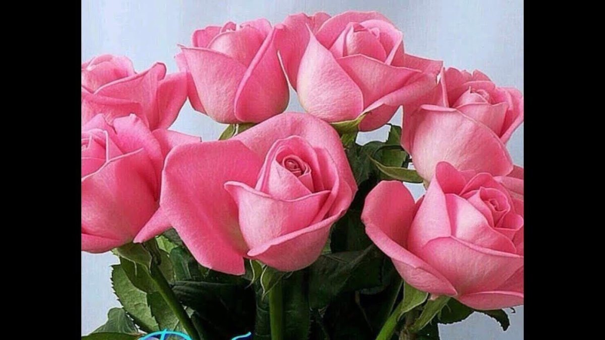 Поздравления со вторником