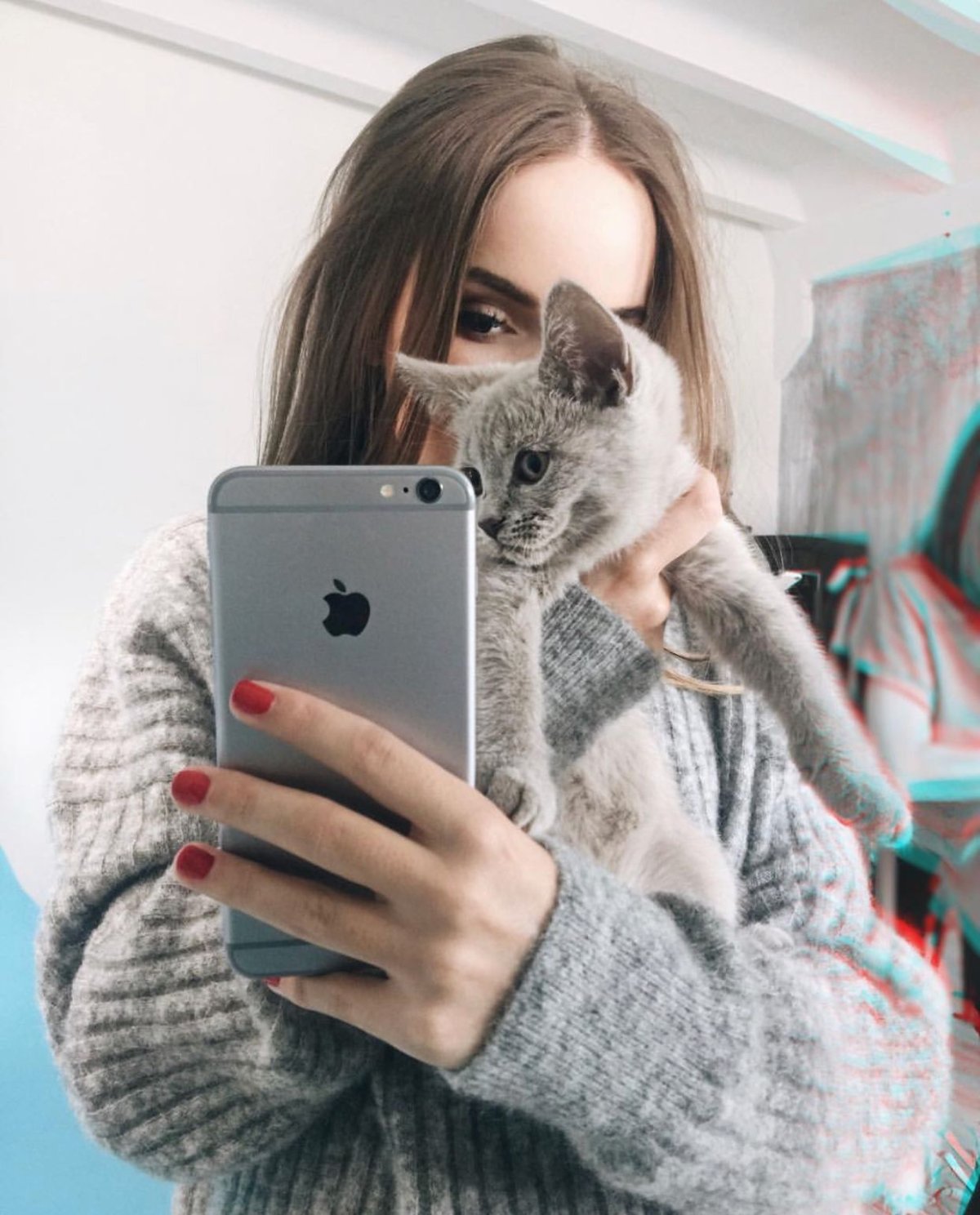 Кот сидит в телефоне