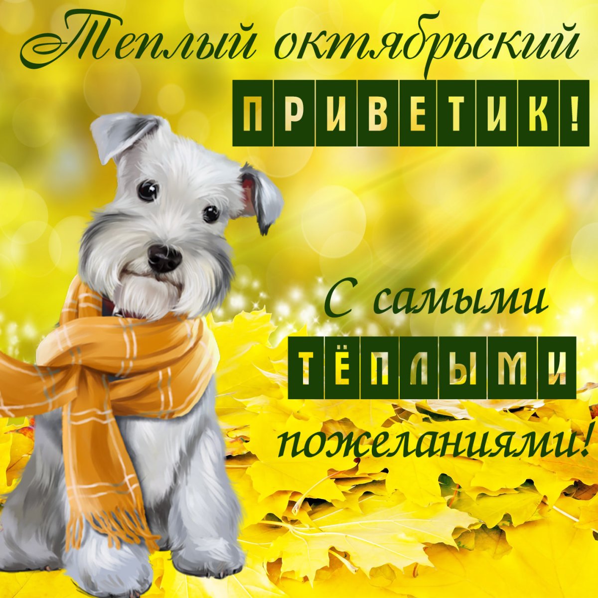 Открытка не грусти улыбнись