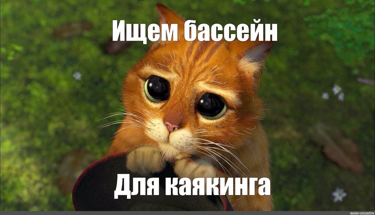 Котик из Шрека