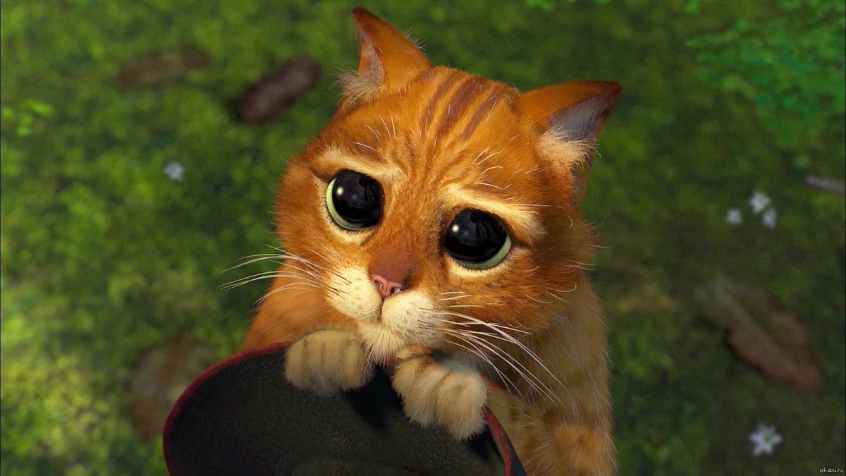 Корни Шрек кот