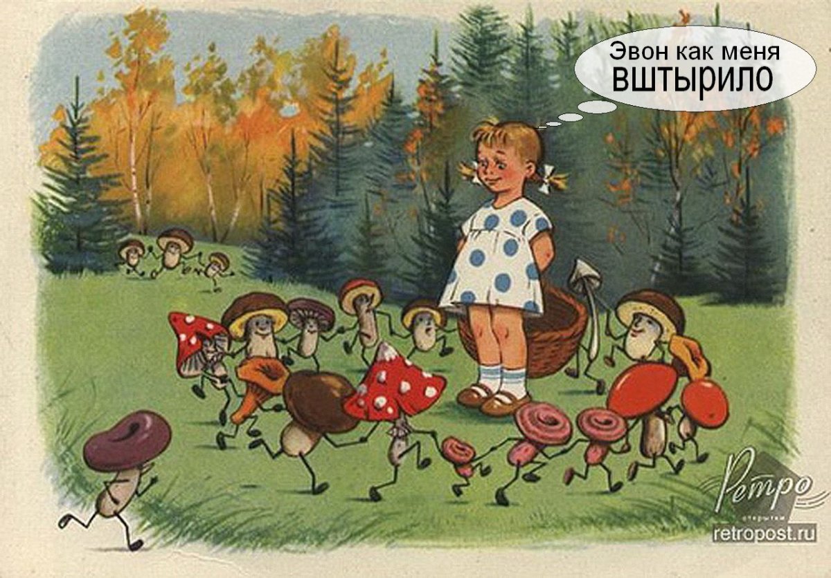 Шутка собираем грибы в лесу