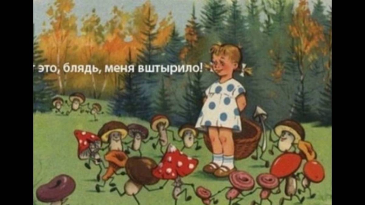 За грибами в лес идем