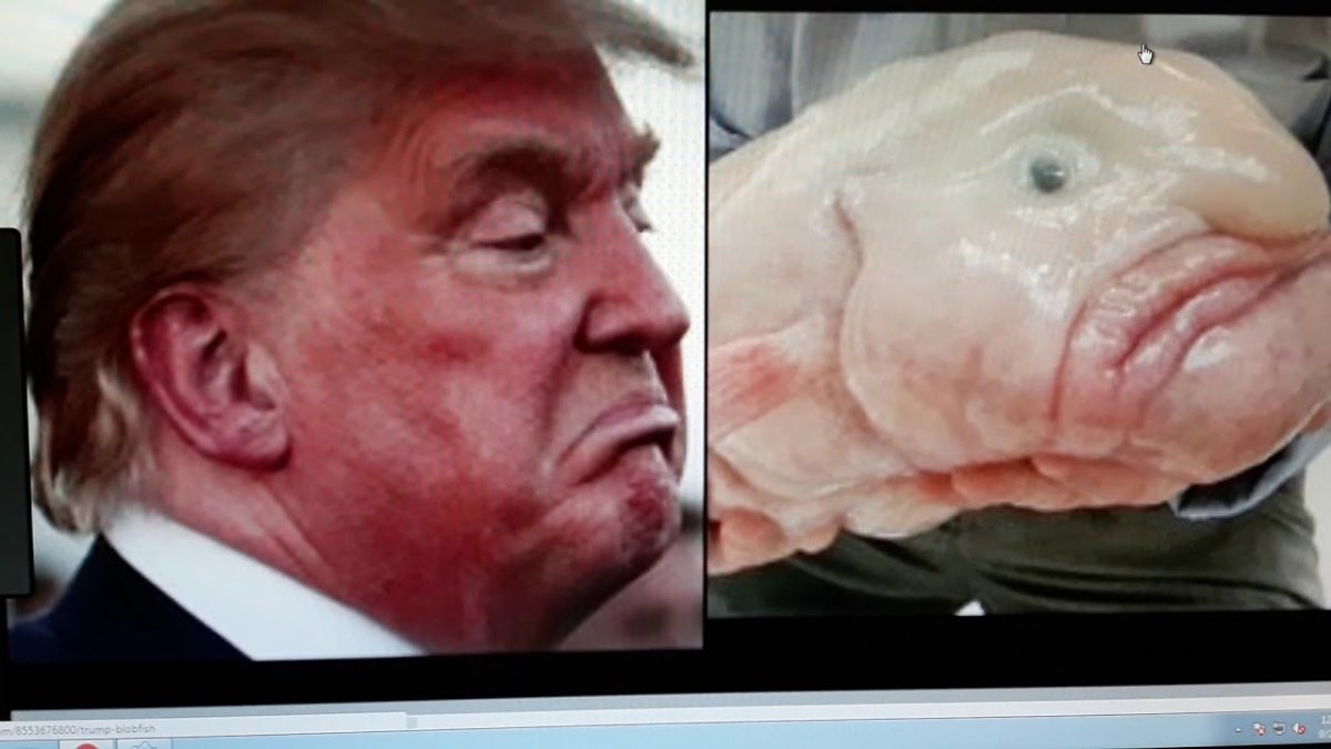 Рыба капля в естественной среде