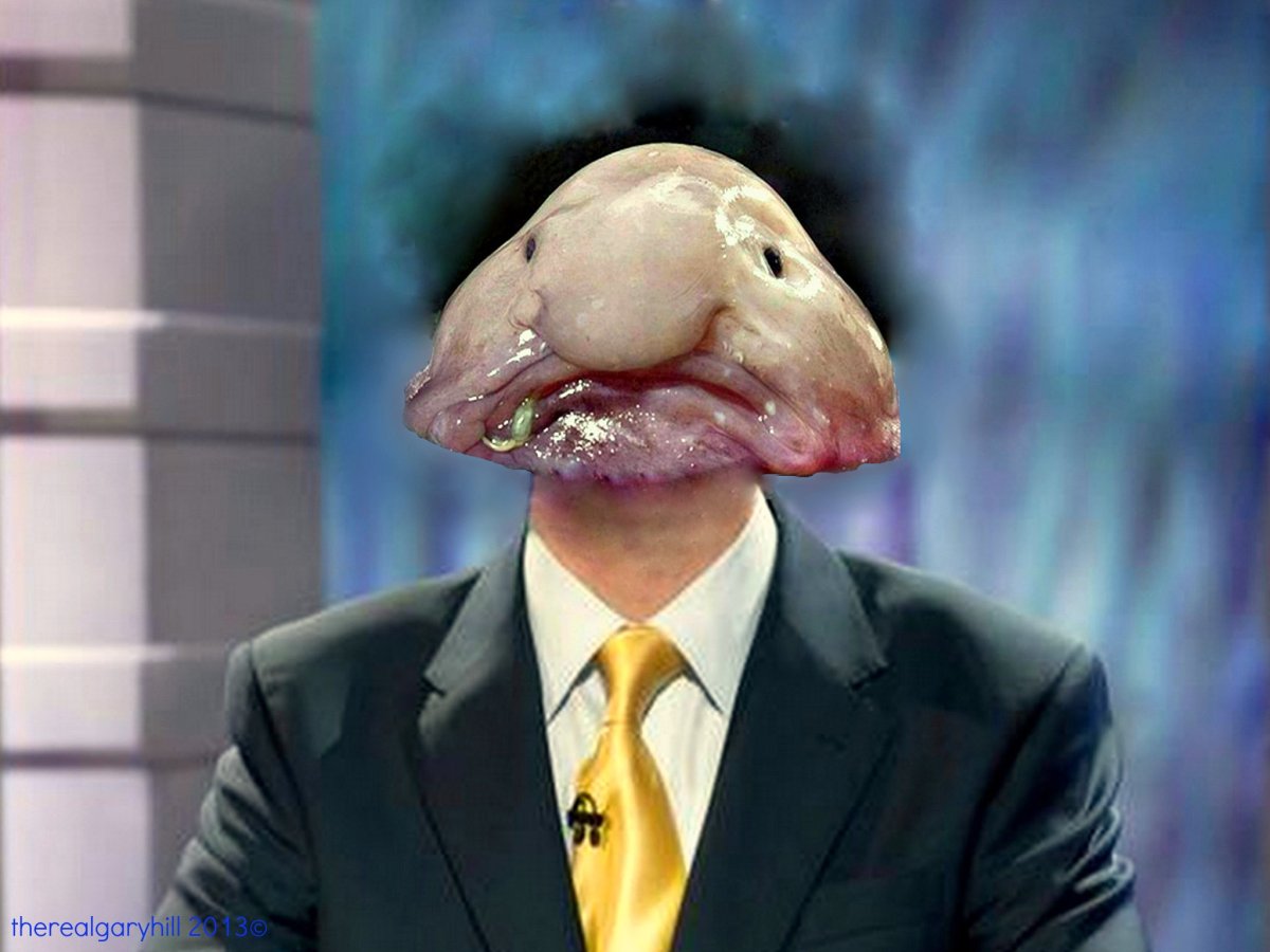 Психролютовые рыба-капля