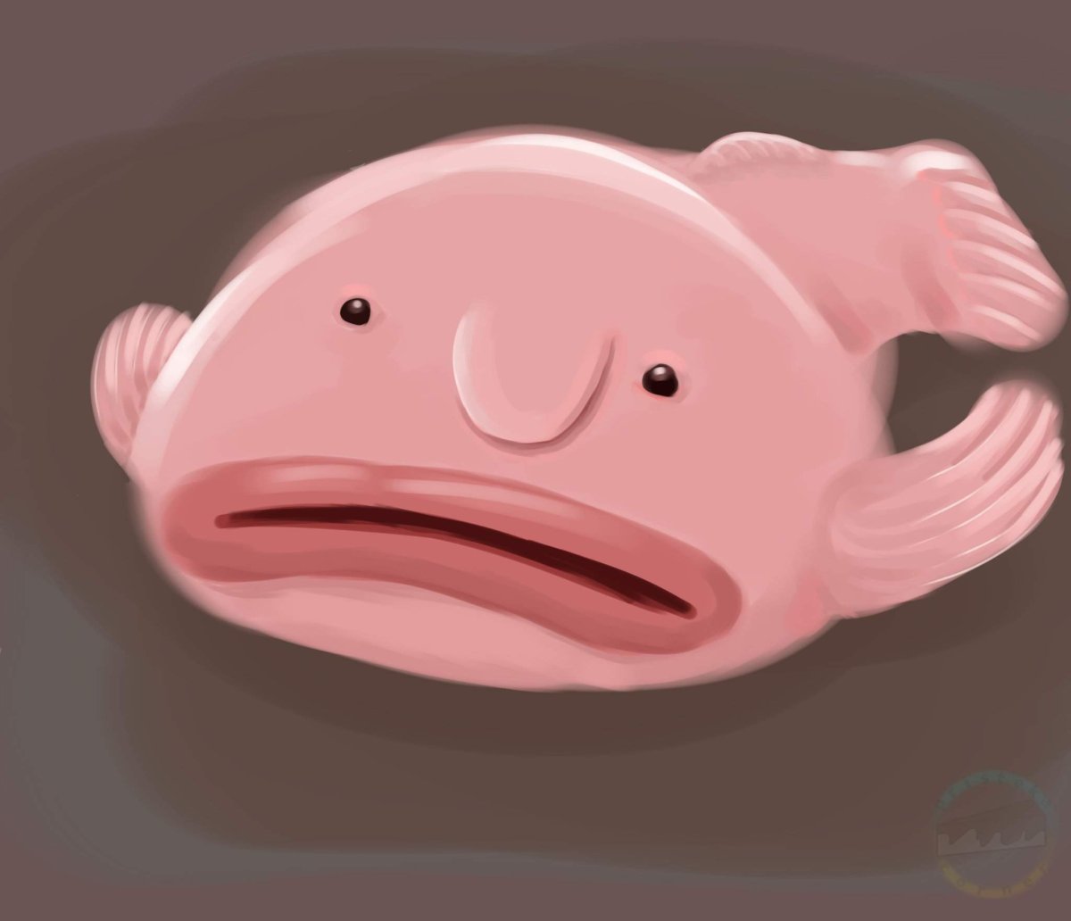 Глубоководная рыба psychrolutes marcidus