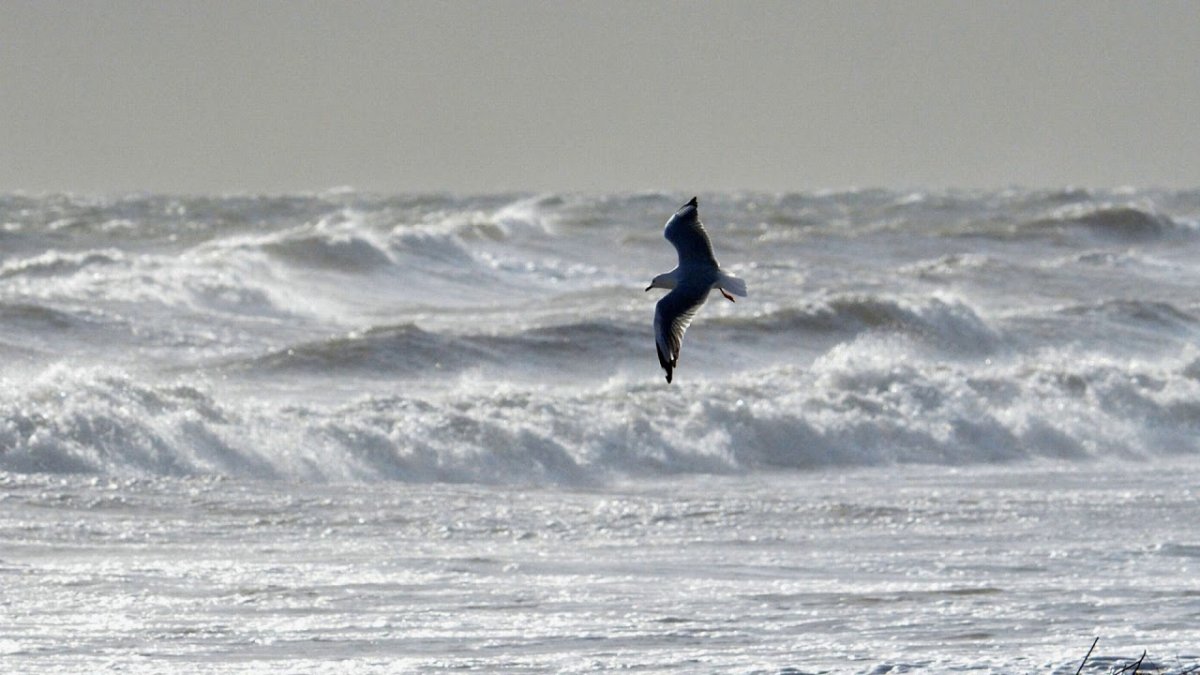 Сильный шторм и человек