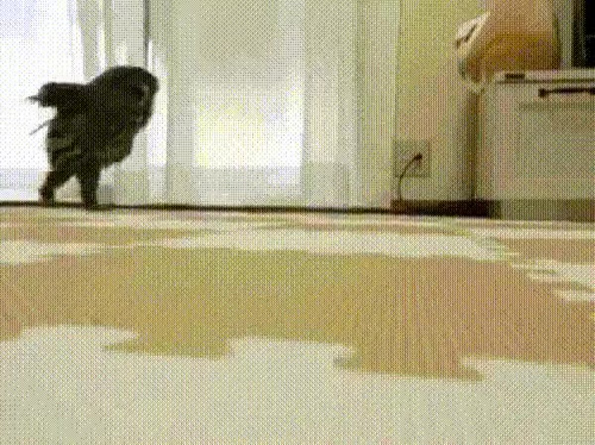 На новый год хочу себе отрывной календарь с пятитысячными купюрами