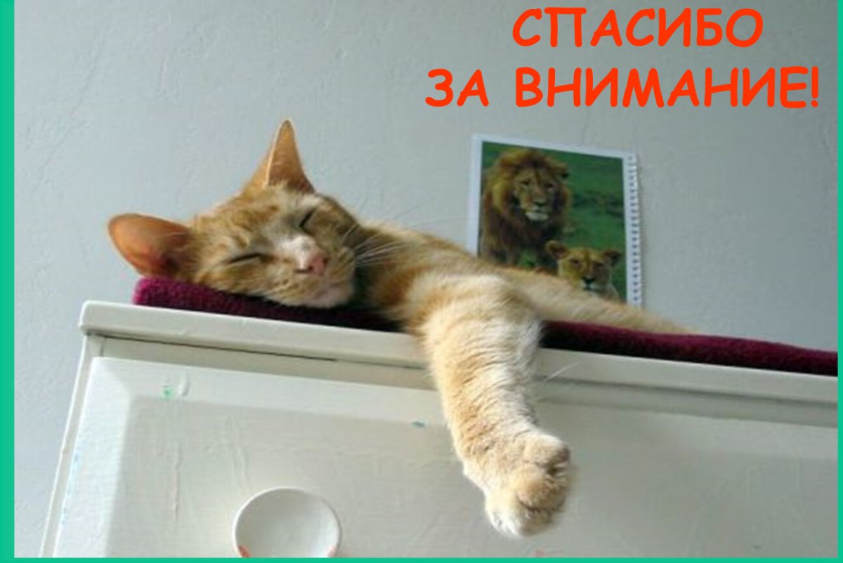 Хозяин отпусти домой